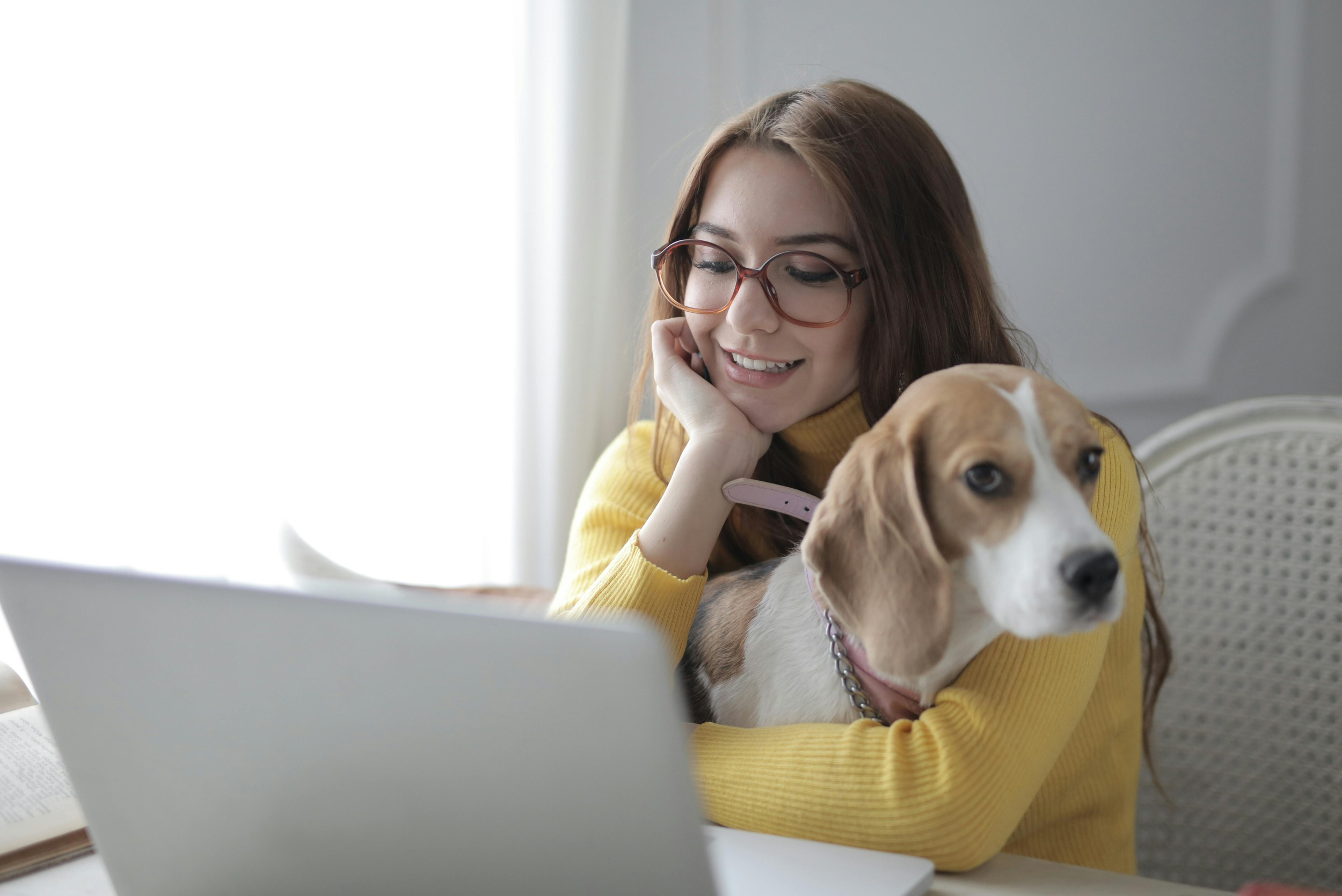 Femme souriante avec un beagle dans les bras devant son ordinateur, formation comportement animal en ligne