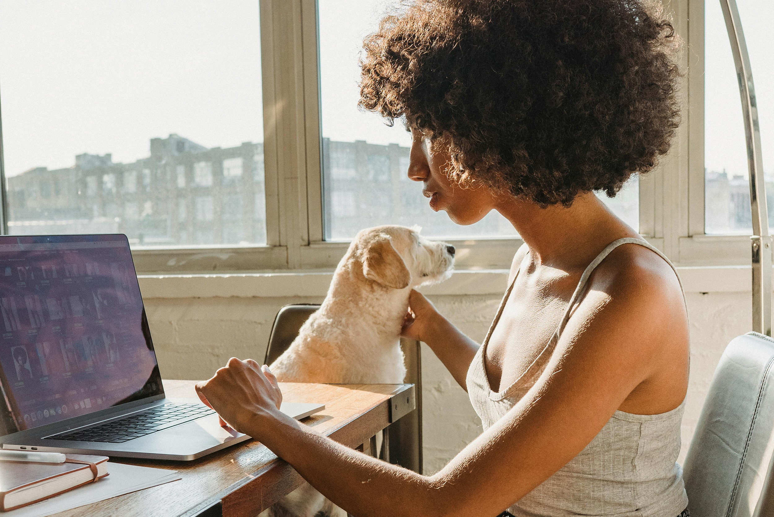 Femme travaillant sur son ordinateur portable accompagnée de son chien, télétravail avec animal de compagnie